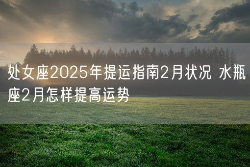 处女座2025年提运指南2月状况 水瓶座2月怎样提高运势(图1)