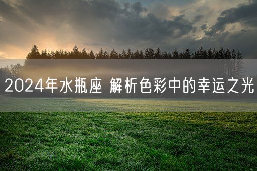 2024年水瓶座 解析色彩中的幸运之光(图1)