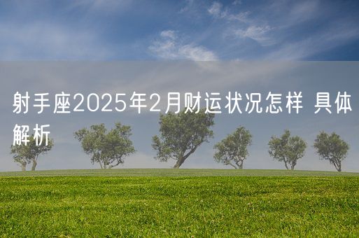 射手座2025年2月财运状况怎样 具体解析(图1)