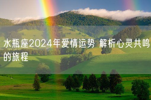 水瓶座2024年爱情运势 解析心灵共鸣的旅程(图1)
