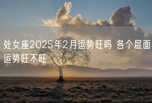 处女座2025年2月运势旺吗 各个层面运势旺不旺(图1)