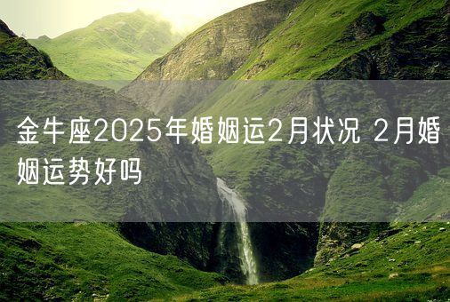 金牛座2025年婚姻运2月状况 2月婚姻运势好吗(图1)