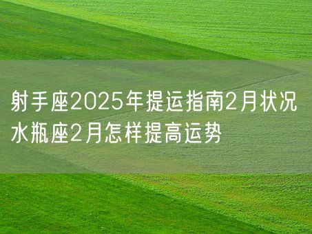 射手座2025年提运指南2月状况 水瓶座2月怎样提高运势(图1)