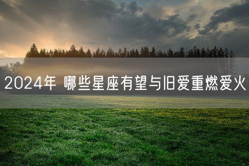 2024年 哪些星座有望与旧爱重燃爱火(图1)