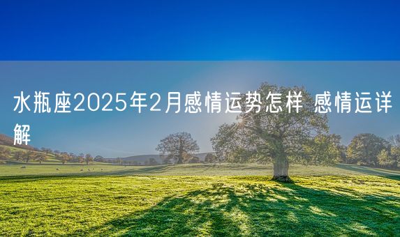 水瓶座2025年2月感情运势怎样 感情运详解(图1)