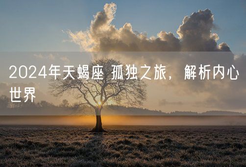 2024年天蝎座 孤独之旅，解析内心世界(图1)