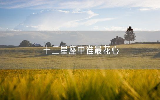 十二星座中谁最花心(图1)