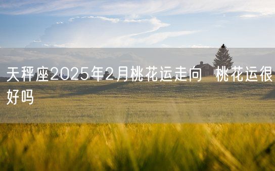 天秤座2025年2月桃花运走向  桃花运很好吗(图1)
