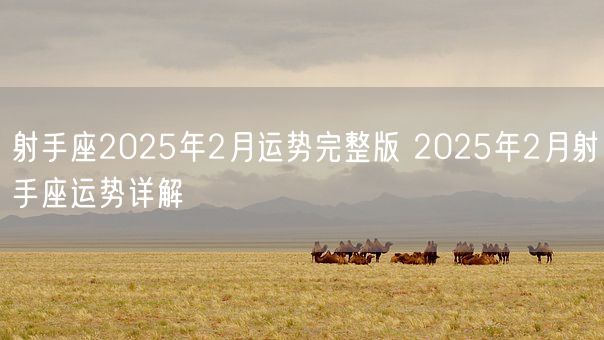 射手座2025年2月运势完整版 2025年2月射手座运势详解(图1)