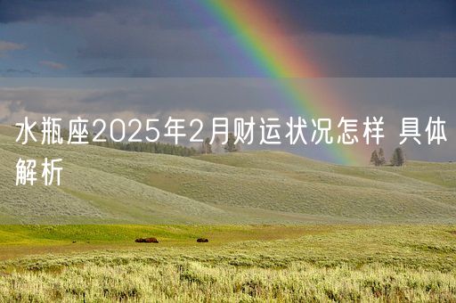 水瓶座2025年2月财运状况怎样 具体解析(图1)