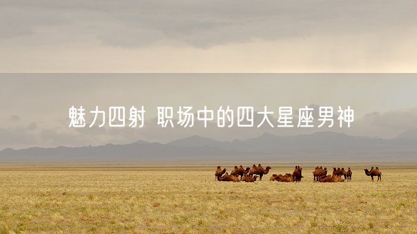 魅力四射 职场中的四大星座男神(图1)