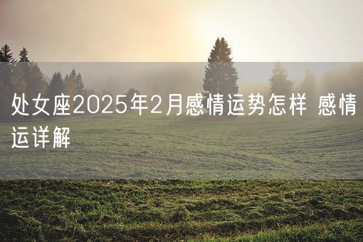 处女座2025年2月感情运势怎样 感情运详解(图1)