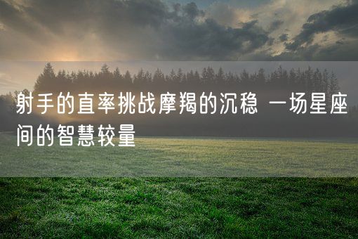 射手的直率挑战摩羯的沉稳 一场星座间的智慧较量(图1)