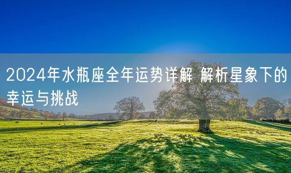 2024年水瓶座全年运势详解 解析星象下的幸运与挑战(图1)