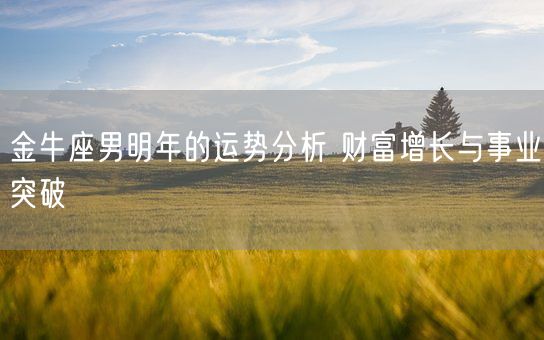 金牛座男明年的运势分析 财富增长与事业突破(图1)
