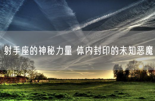 射手座的神秘力量 体内封印的未知恶魔(图1)