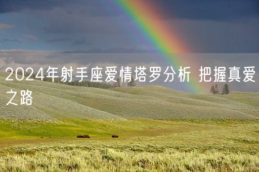 2024年射手座爱情塔罗分析 把握真爱之路(图1)