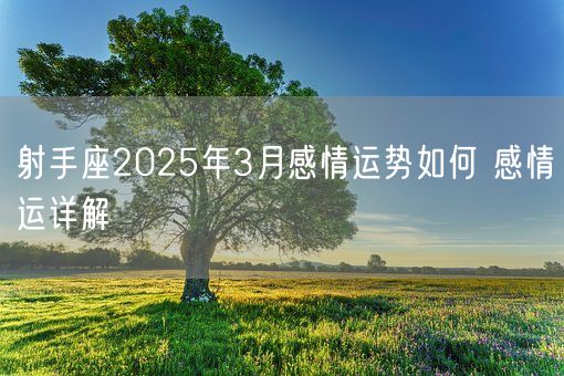 射手座2025年3月感情运势如何 感情运详解(图1)