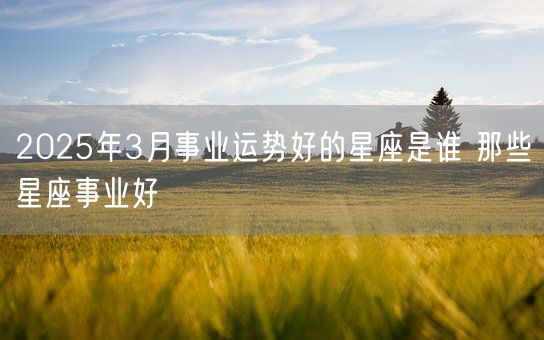 2025年3月事业运势好的星座是谁 那些星座事业好(图1)