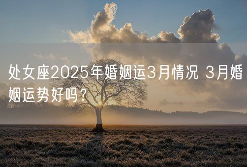 处女座2025年婚姻运3月情况 3月婚姻运势好吗？(图1)