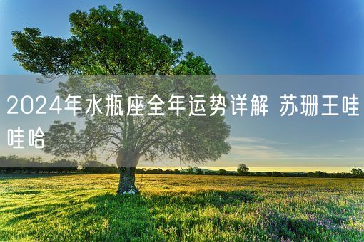 2024年水瓶座全年运势详解 苏珊王哇哇哈(图1)