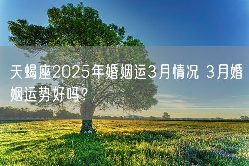 天蝎座2025年婚姻运3月情况 3月婚姻运势好吗？(图1)