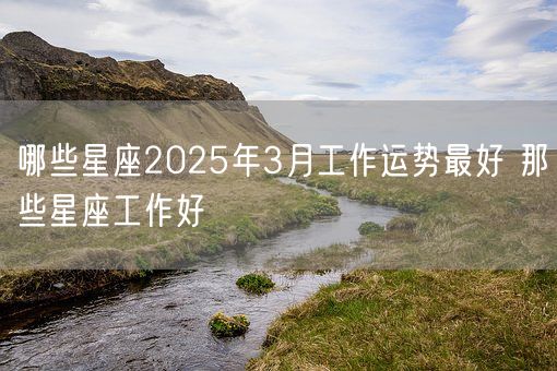 哪些星座2025年3月工作运势最好 那些星座工作好(图1)