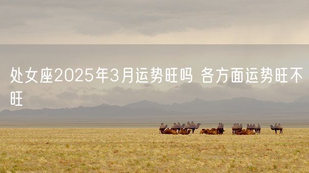 处女座2025年3月运势旺吗 各方面运势旺不旺(图1)