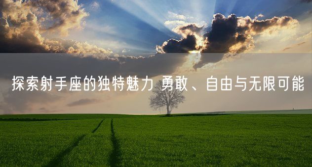 探索射手座的独特魅力 勇敢、自由与无限可能(图1)