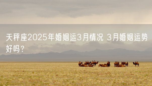 天秤座2025年婚姻运3月情况 3月婚姻运势好吗？(图1)