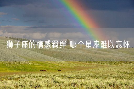 狮子座的情感羁绊 哪个星座难以忘怀(图1)