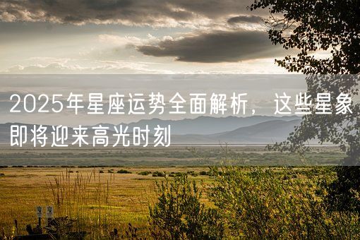 2025年星座运势全面解析，这些星象即将迎来高光时刻(图1)