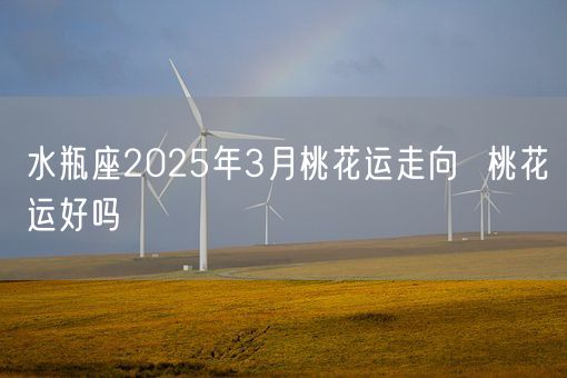 水瓶座2025年3月桃花运走向  桃花运好吗(图1)