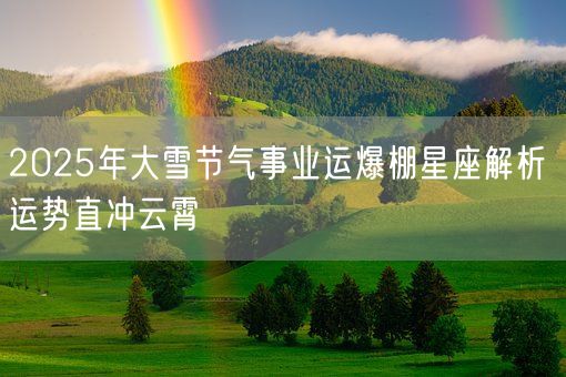 2025年大雪节气事业运爆棚星座解析 运势直冲云霄(图1)