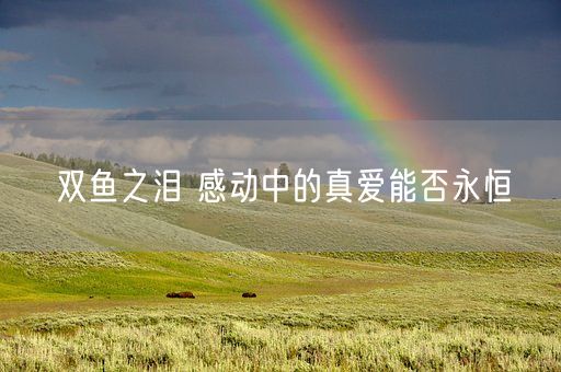 双鱼之泪 感动中的真爱能否永恒(图1)