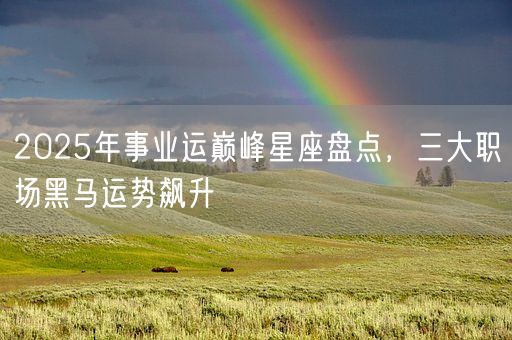 2025年事业运巅峰星座盘点，三大职场黑马运势飙升(图1)