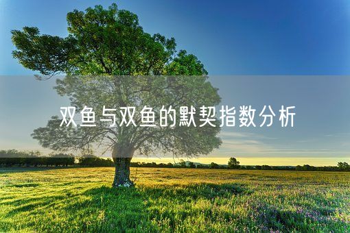双鱼与双鱼的默契指数分析(图1)