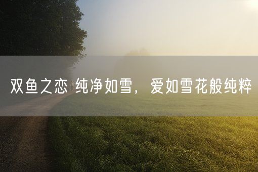 双鱼之恋 纯净如雪，爱如雪花般纯粹(图1)