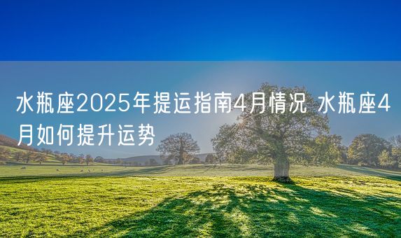 水瓶座2025年提运指南4月情况 水瓶座4月如何提升运势(图1)