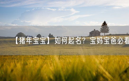 【猪年宝宝】如何起名？宝妈宝爸必看！(图1)