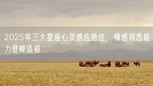 2025年三大星座心灵感应绝佳，情感洞悉能力登峰造极(图1)