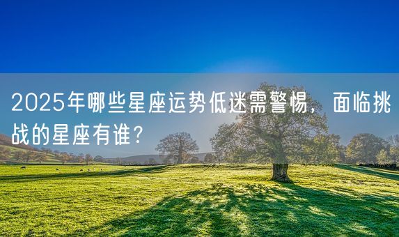 2025年哪些星座运势低迷需警惕，面临挑战的星座有谁？(图1)