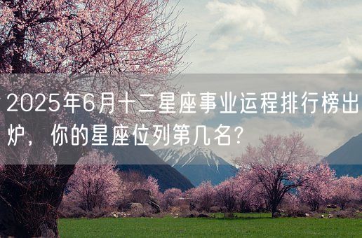 2025年6月十二星座事业运程排行榜出炉，你的星座位列第几名？(图1)