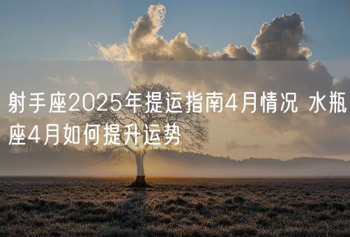 射手座2025年提运指南4月情况 水瓶座4月如何提升运势(图1)
