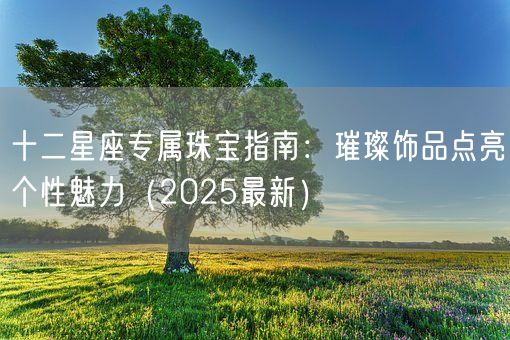 十二星座专属珠宝指南：璀璨饰品点亮个性魅力（2025最新）(图1)
