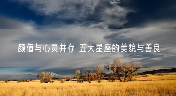 颜值与心灵并存 五大星座的美貌与善良(图1)