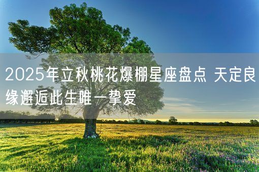2025年立秋桃花爆棚星座盘点 天定良缘邂逅此生唯一挚爱(图1)