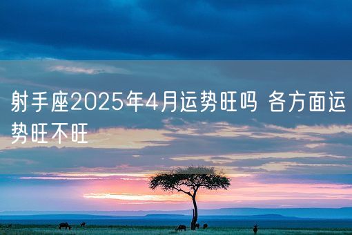 射手座2025年4月运势旺吗 各方面运势旺不旺(图1)