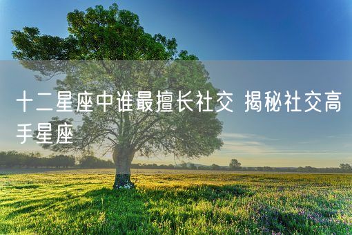 十二星座中谁最擅长社交 揭秘社交高手星座(图1)