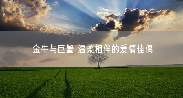 金牛与巨蟹 温柔相伴的爱情佳偶(图1)
